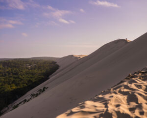 La Dune du Pilat et la forêt au coucher du soleil