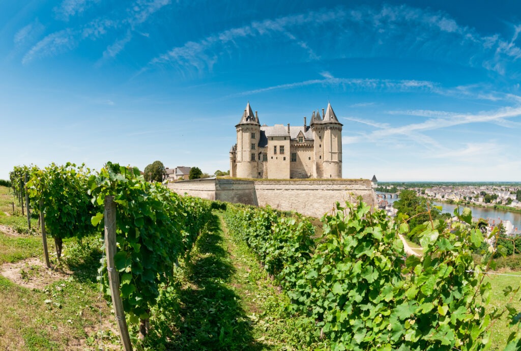 Château de Saumur, vignoble et la Loire vu d'un van aménagé