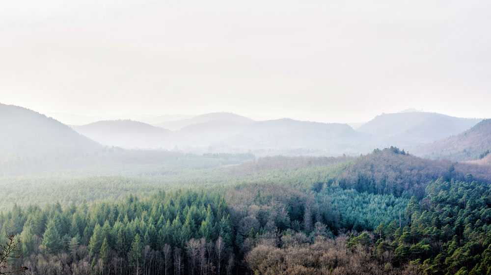 Point de vue du Parc Régional de Lorraine