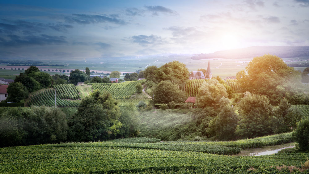 Les routes de Champagne en van aménagé