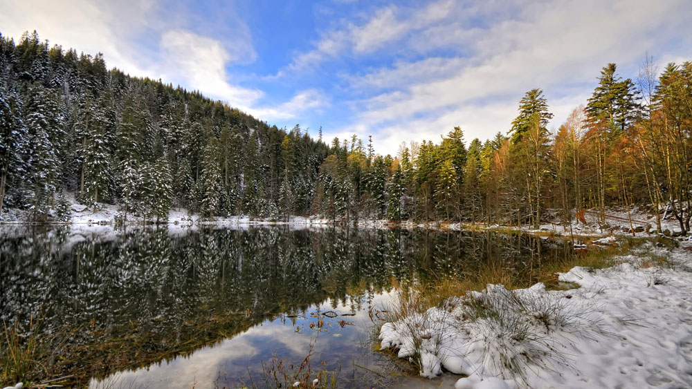 Montagne des Vosges 