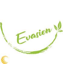 Logo roots idylcar blanc